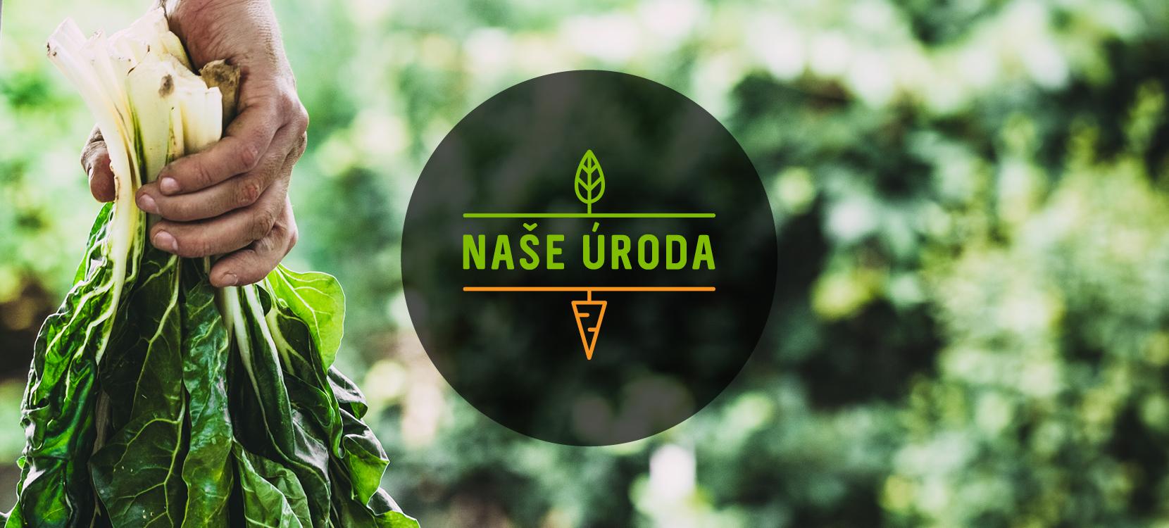 KonceptDesign_portfolio_1660_NaseUroda