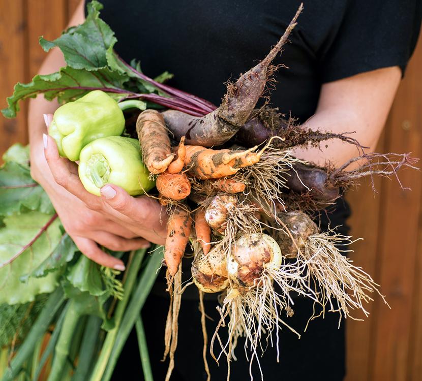 KonceptDesign_portfolio_1660_NaseUroda5