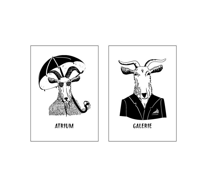 KonceptDesign_portfolio_1660X750_CAPRA11