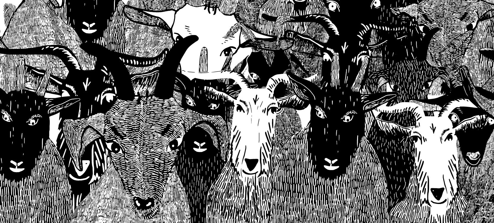 KonceptDesign_portfolio_1660X750_CAPRA8