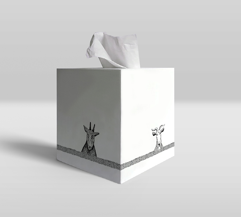 KonceptDesign_portfolio_1660X750_CAPRA9